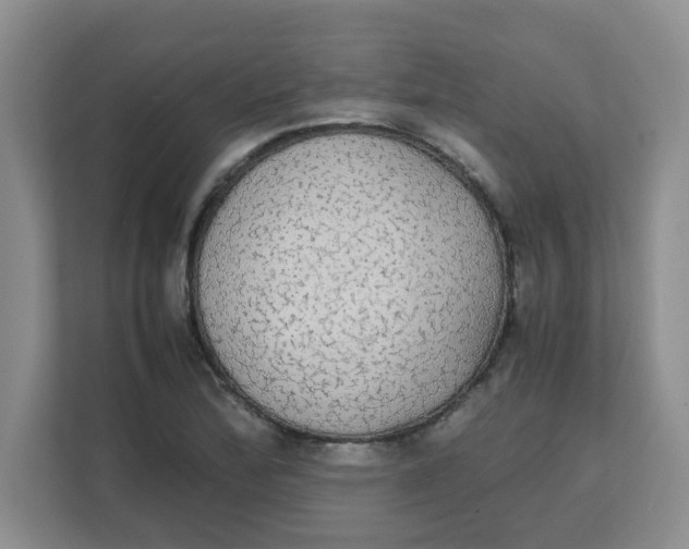 X0000111861172200908131453