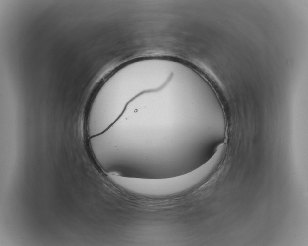 X0000111861173200908131453