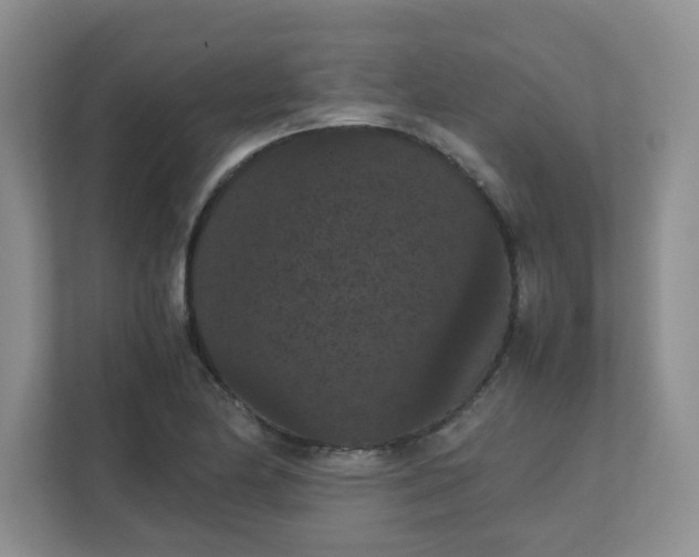 X0000111861174200908131453