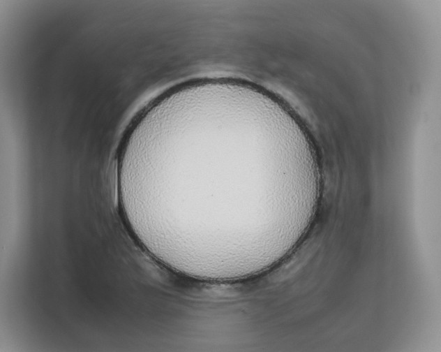 X0000111861175200908131453