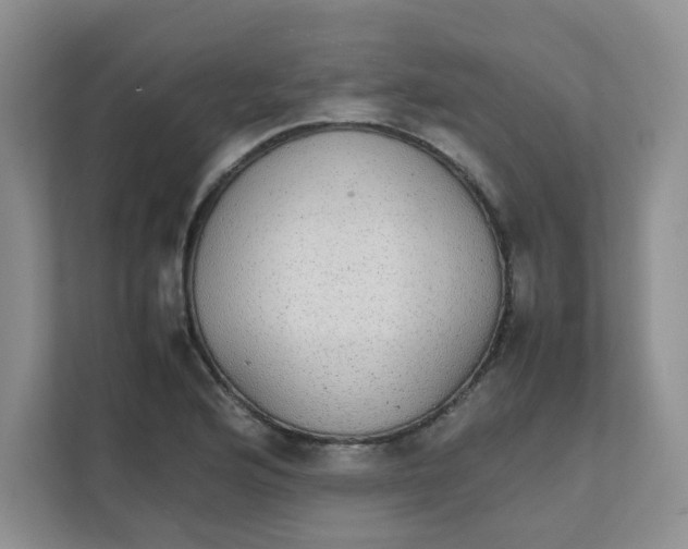 X0000111861176200908131453