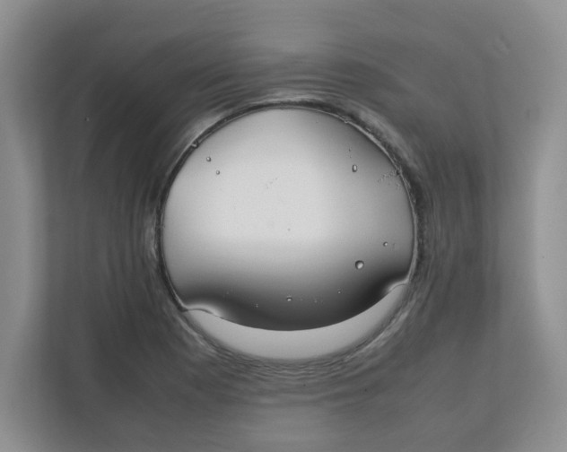 X0000111861177200908131453