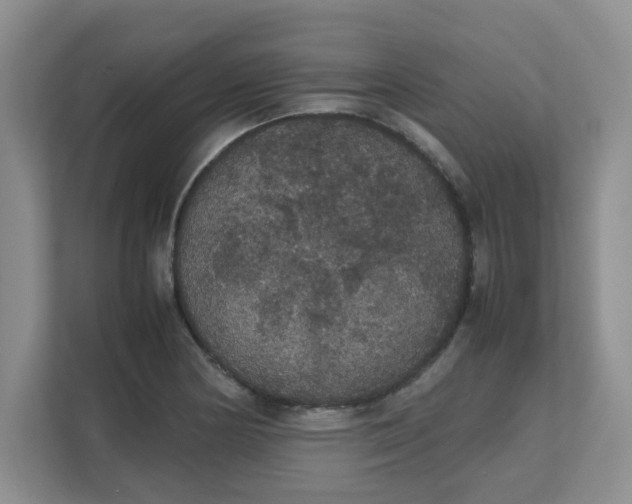 X0000111861178200908131453