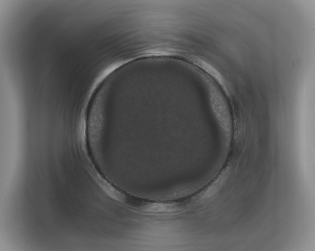 X0000111861179200908131453