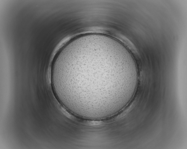 X0000111861180200908131453