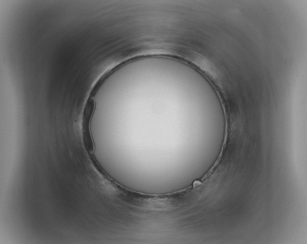 X0000111861181200908131453