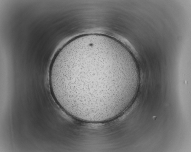 X0000111861184200908131453