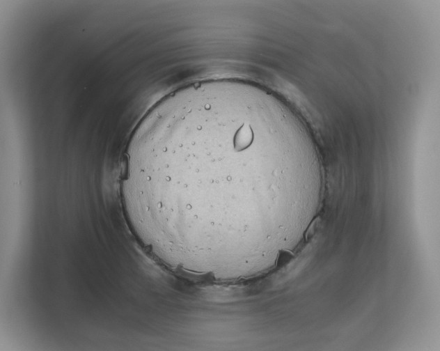 X0000111861185200908131453