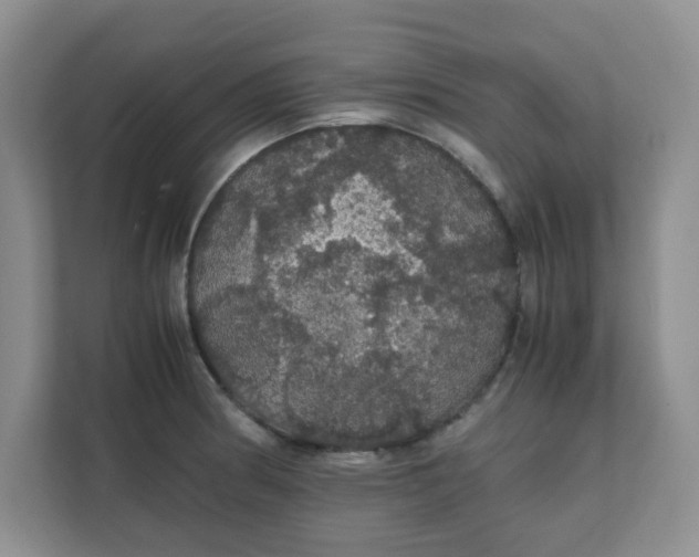 X0000111861186200908131453