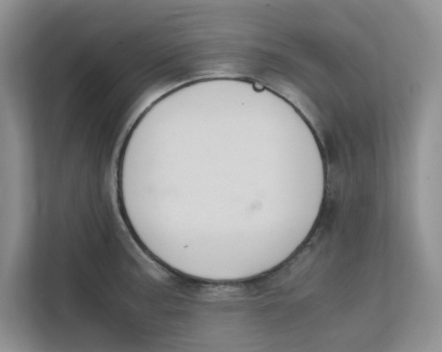 X0000111861187200908131453