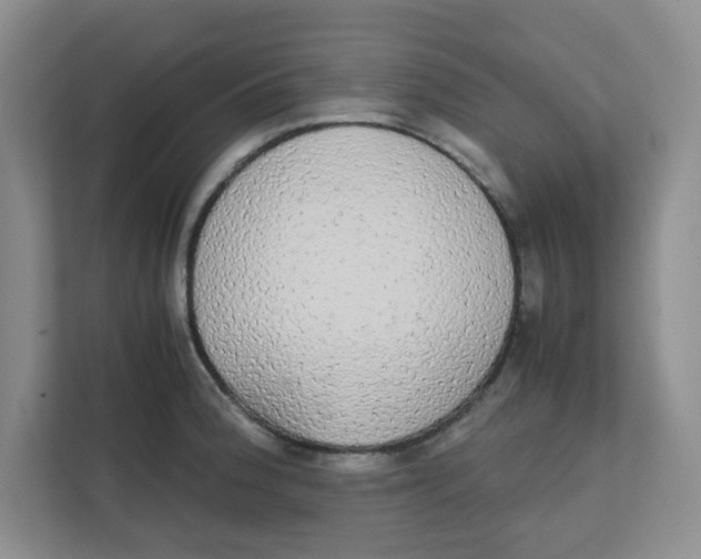 X0000111861188200908131453