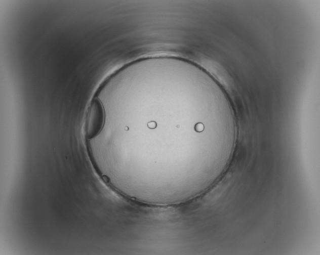 X0000111861189200908131453