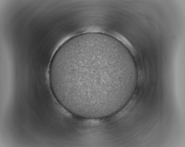 X0000111861190200908131453