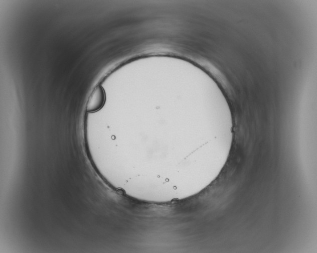 X0000111861191200908131453