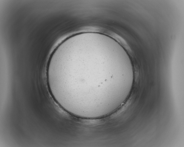 X0000111861192200908131453