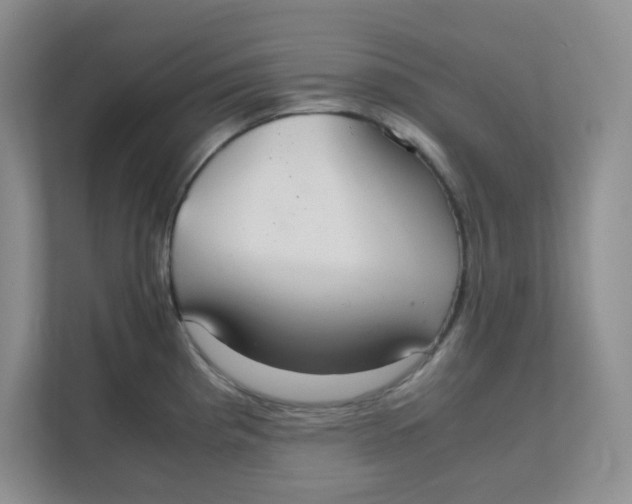 X0000111861193200908131453