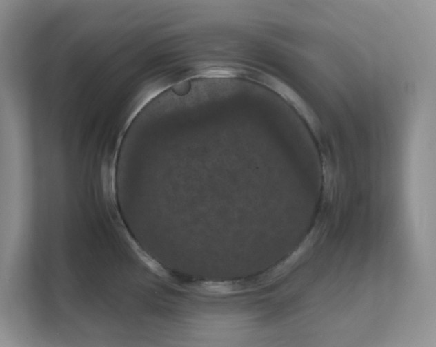 X0000111861194200908131453