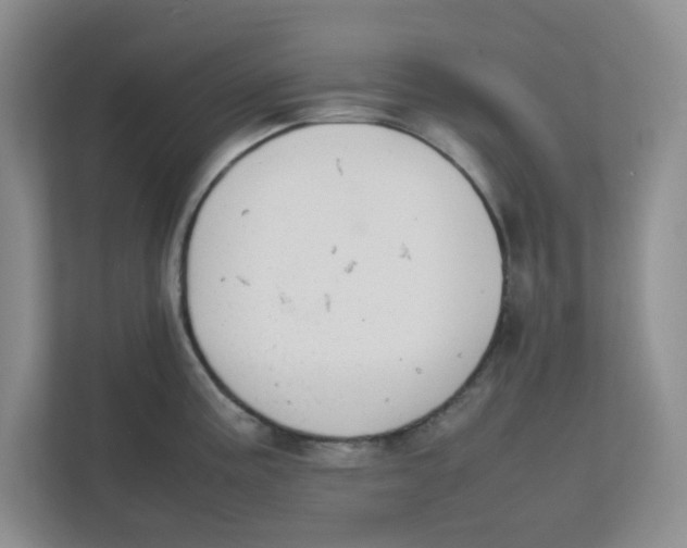 X0000111861195200908131453