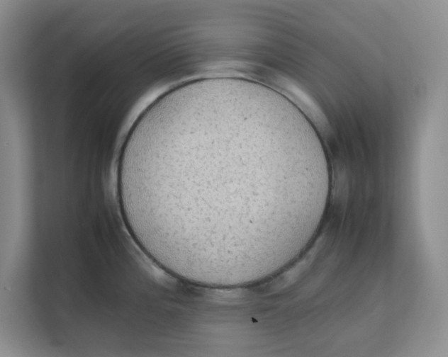 X0000111861196200908131453