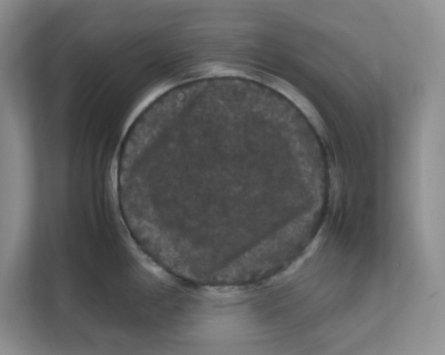 X0000111861198200908131453