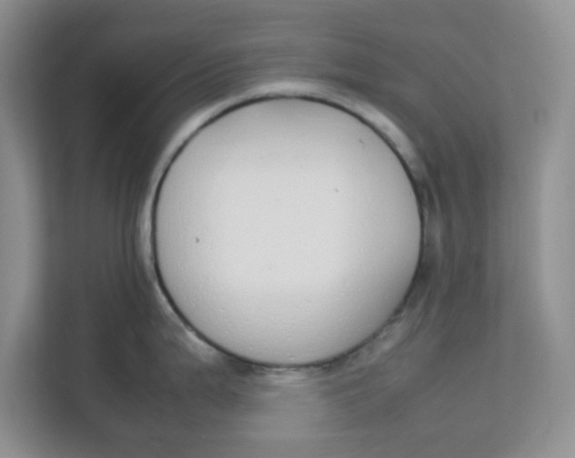 X0000111861199200908131453