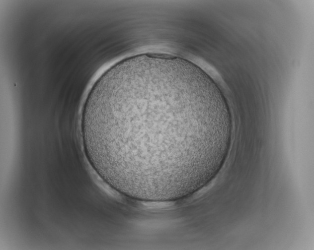 X0000111861200200908131453