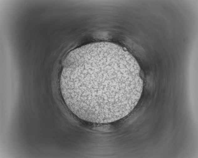 X0000111861201200908131452