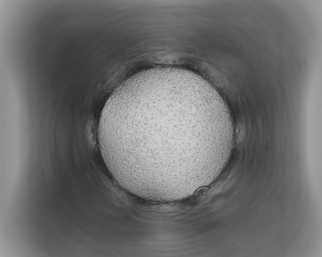 X0000111861202200908131452