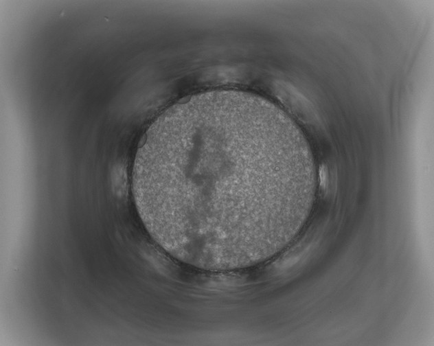 X0000111861203200908131452