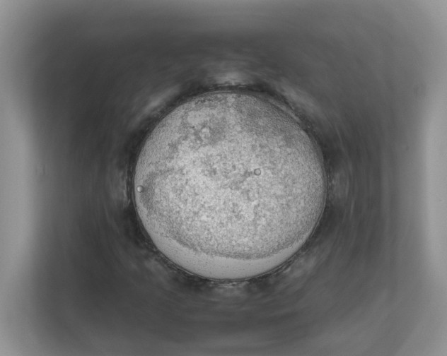 X0000111861205200908131452