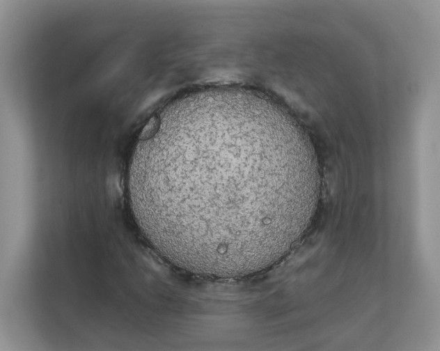 X0000111861206200908131452