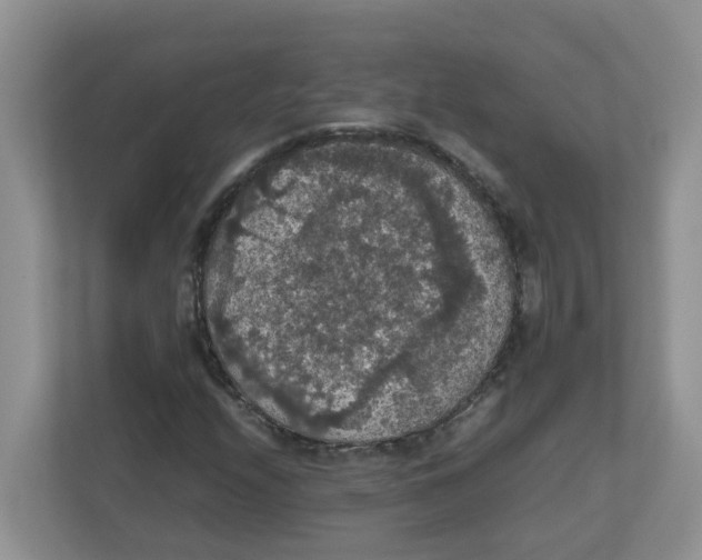 X0000111861208200908131452