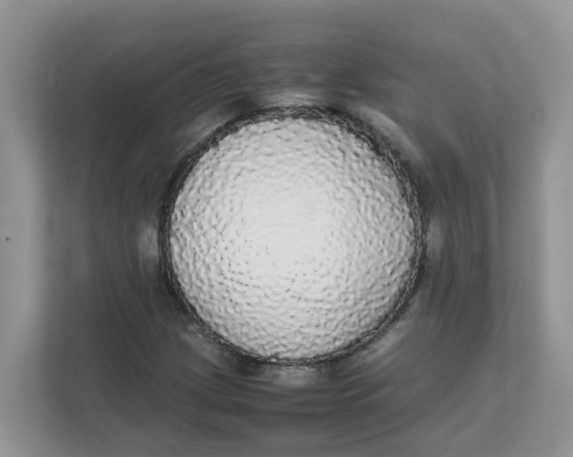 X0000111861209200908131452