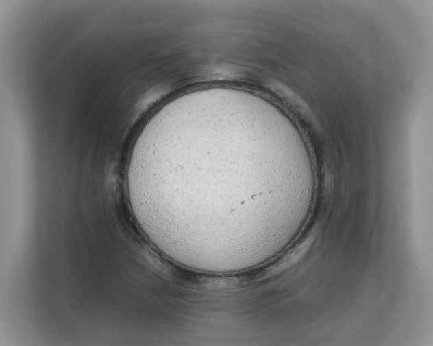 X0000111861210200908131452