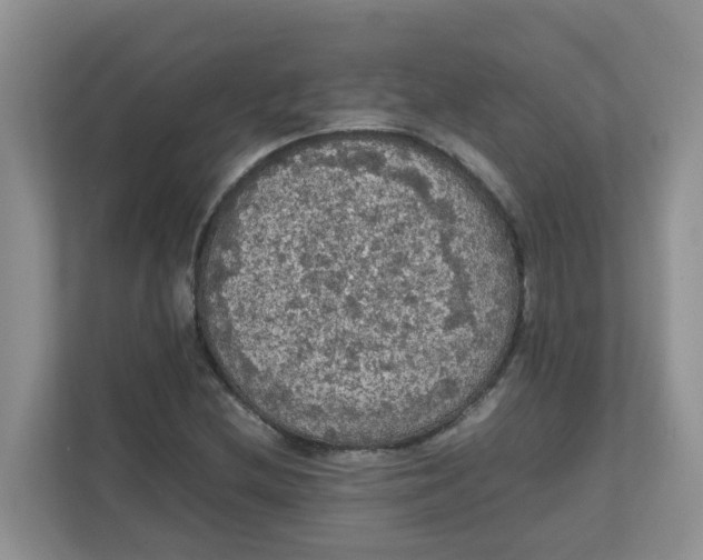 X0000111861212200908131452