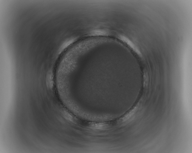 X0000111861213200908131452