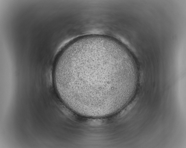 X0000111861214200908131452