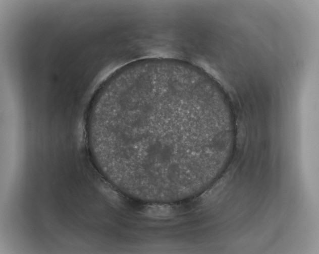 X0000111861215200908131452