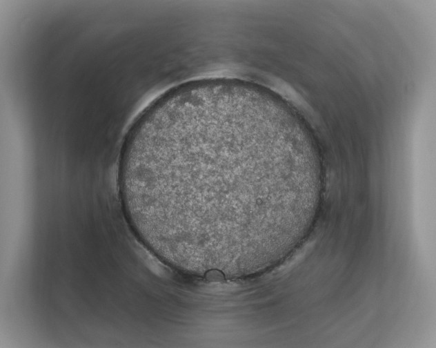 X0000111861216200908131452