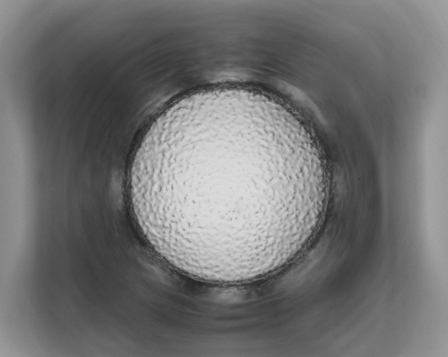 X0000111861217200908131452