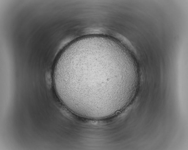 X0000111861218200908131452