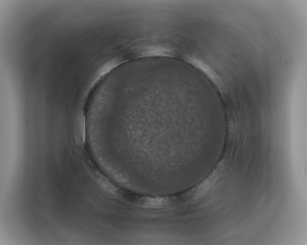 X0000111861219200908131452