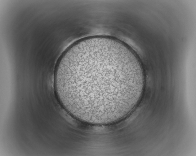 X0000111861220200908131452