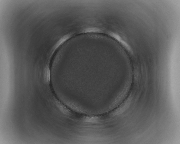 X0000111861221200908131452