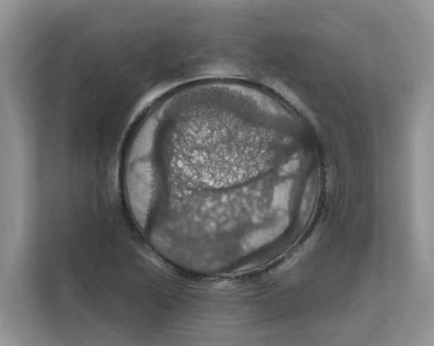 X0000111861222200908131452