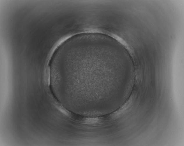 X0000111861223200908131452