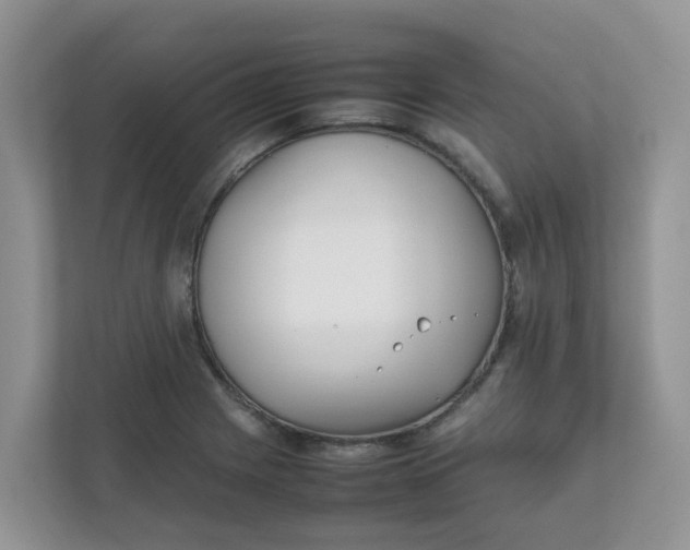 X0000111861225200908131452