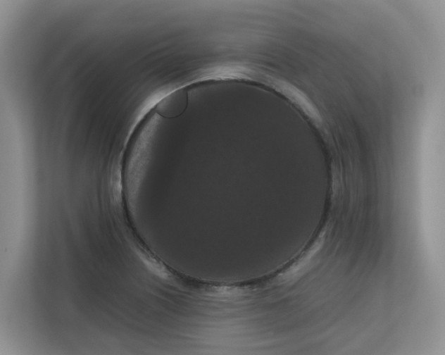 X0000111861226200908131452