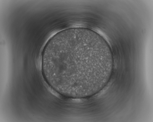 X0000111861227200908131452