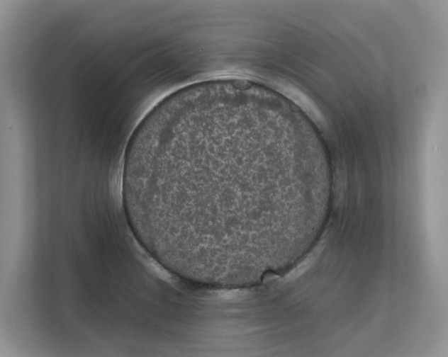 X0000111861228200908131452